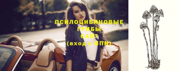 тгк Богданович