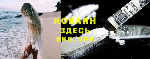 тгк Богданович