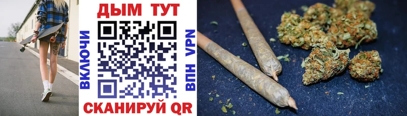 Шишки марихуана план  это как зайти  Северодвинск 